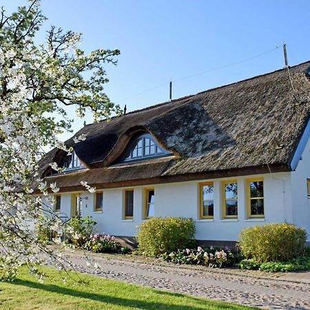 Ferienwohnungen Im Fischerdorf Und Neu Reddevitz Екстериор снимка