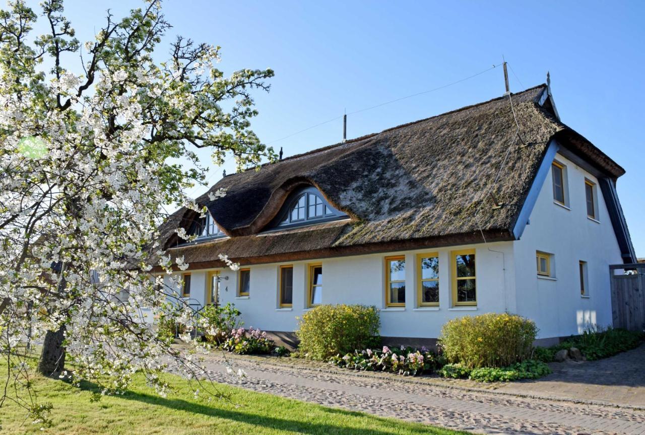Ferienwohnungen Im Fischerdorf Und Neu Reddevitz Екстериор снимка