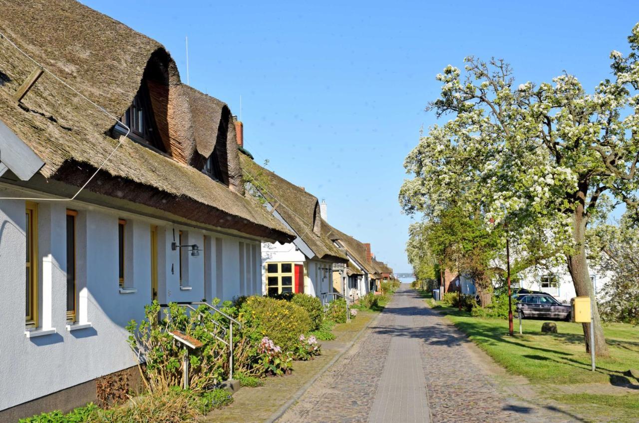 Ferienwohnungen Im Fischerdorf Und Neu Reddevitz Екстериор снимка